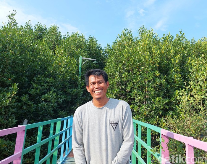 Wisata Mangrove Jembatan Pelangi di Lontar, Kabupaten Serang Wisata Mangrove Jembatan Pelangi di Lontar, Kabupaten Serang