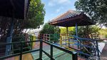 Foto: Hutan Mangrove di Banten yang Instagramable