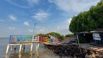 Foto: Hutan Mangrove di Banten yang Instagramable