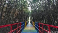 Memang sejuk dan rindang terasa saat kamu melewati jalur trekking yang membelah hutan mangrove ini. Padahal kita sedang berada di tepi laut.