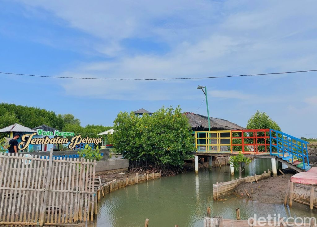 Wisata Mangrove Jembatan Pelangi di Lontar, Kabupaten Serang