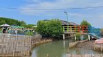 Foto: Hutan Mangrove di Banten yang Instagramable