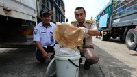Penanggung jawab Balai Karantina Ikan Pengendalian Mutu dan Keamanan Hasil Perikanan Entikong wilayah kerja PLBN Aruk Reno Putra (kanan) didampingi staf PSDKP Sajingan Sambas Zaldi (kiri) saat memperlihatkan potongan ubur-ubur di sela aktivitas bongkar muat barang ekspor ubur-ubur di Pos Lintas Batas Negara (PLBN) Terpadu Aruk di Desa Sebunga, Kecamatan Sajingan, Kabupaten Sambas, Kalimantan Barat, Rabu (19/10/2022).
