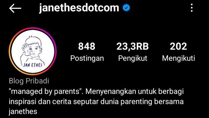 Akun Instagram @janethesdotcom