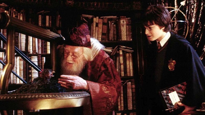 Daniel Radcliffe Daniel Radcliffe saat tampil di Harry Potter and the Chamber of Secret (2002).