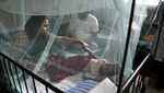 Demam Berdarah Serang Anak-anak di Bangladesh
