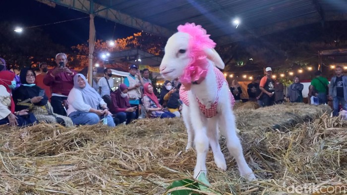 Fashion Show Sheep dalam acara Sukoharjo Argopolitan Expo di Centra Niaga, Kecamatan Grogol, Sukoaharjo, Kamis (20/10/2022).