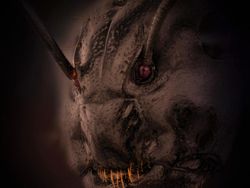 Mencengangkan! Ini Karya Jawara Kontes Foto Mikroskop