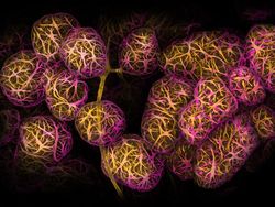 Mencengangkan! Ini Karya Jawara Kontes Foto Mikroskop