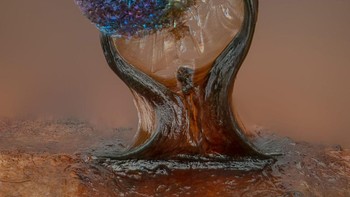 Posisi 5 karya Alison Pollack. Menampilkan jamur lendir Foto: Nikon Small World Photomicrography
