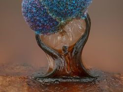 Mencengangkan! Ini Karya Jawara Kontes Foto Mikroskop