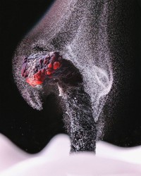 Nikon Small World Photomicrography 2022