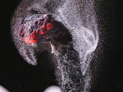 Mencengangkan! Ini Karya Jawara Kontes Foto Mikroskop