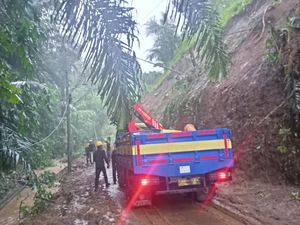 670 Hektar Sawah di Tabanan Terdampak Banjir-Longsor