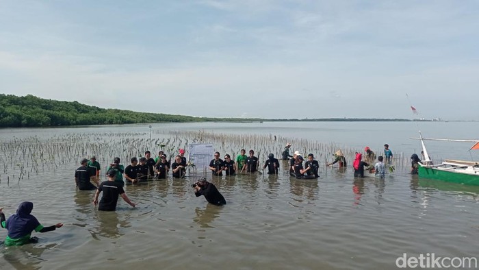 Penanaman 1.000 bibit pohon mangrove oleh Citilink Indonesia di pesisir Untia, Makassar.