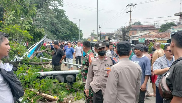 Pohon tumbang depan Pasar Cibinong, Bogor.