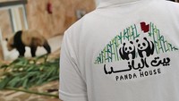 Piada Dunia Qatar 2022 akan digelar pada November hingga Desember 2022 mendatang.  