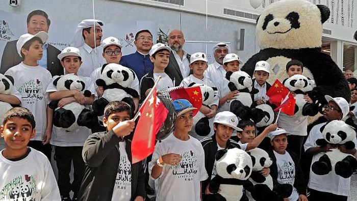 Sambut Piala Dunia 2022, China Hadiahkan Dua Panda Raksasa ke Qatar A Chinese giant panda is pictured in an enclosure at the Panda Park in Al Khor on October 19, 2022. - Qatar became the first Middle Eastern country Wednesday to receive Chinese giant pandas -- Suhail and Soraya -- who, in true Gulf fashion, took up residence in luxury air-conditioned quarters. The Chinese government sent the animals as gift to mark the World Cup that starts November 20. China has not qualified for the event, but is a major customer for Qatar's natural gas. (Photo by DENOUR / AFP) (Photo by DENOUR/AFP via Getty Images)