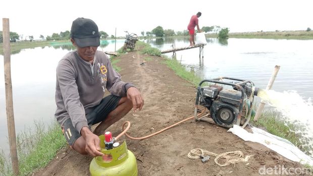 Siwo, petambak ikan di Indramayu.