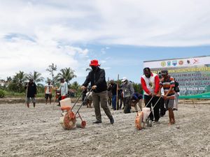 10 Hektare Lahan Tidur Ditanami Jagung, Hasil Panen Langsung Dibeli