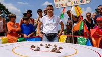 Siput identik dengan hewan yang lambat namun siapa sangka ada Kejuaraan Dunia Balap Siput di Inggris. Ada ratusan siput yang mengambil bagian dalam ajang ini. (Mark Bullimore/Getty Images)
