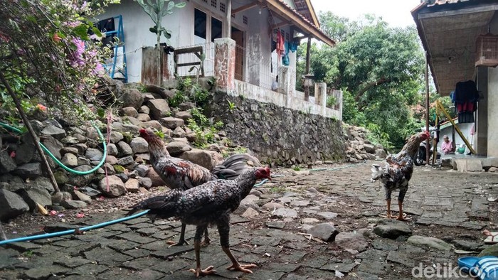Blok Tarikolot, Desa Sidamukti, Majalengka disebut sebagai 'Kampung Mati'. Lihat foto-fotonya. Blok Tarikolot, Desa Sidamukti, Majalengka disebut sebagai 'Kampung Mati'. Lihat foto-fotonya.