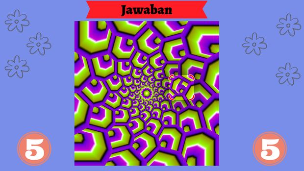Butuh Ketelitian Tinggi, Bisa Temukan Hal yang Tersembunyi pada Gambar-gambar Ini?