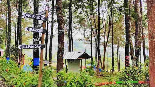 Hutan Pinus Trawas