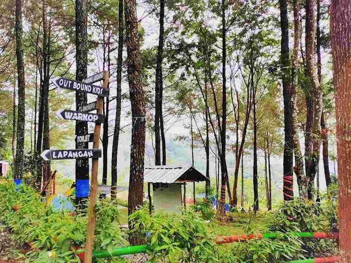 Hutan Pinus Trawas