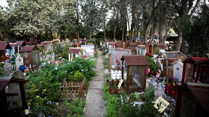 A picture taken on October 5 , 2022 shows decorated graves at the Casa Rosa pet cemetery in Rome. The pet cemetery Casa Rosa is 