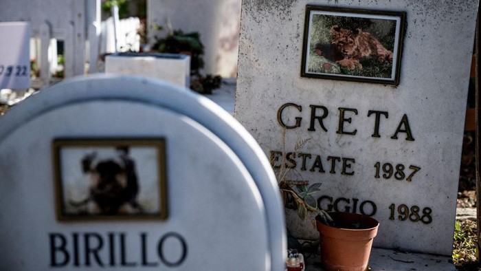 A picture taken on October 5 , 2022 shows decorated graves at the Casa Rosa pet cemetery in Rome. The pet cemetery Casa Rosa is 