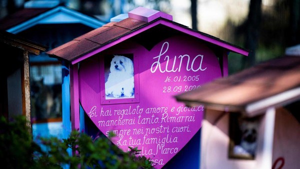 Kompleks pemakaman hewan peliharaan Casa Rosa adalah satu-satunya pemakaman hewan peliharaan yang memiliki izin resmi. 