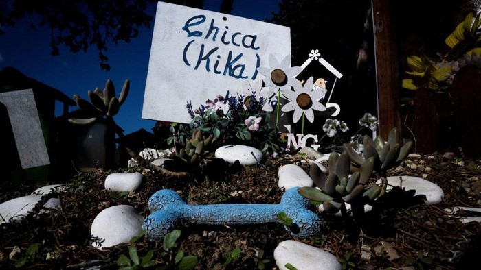Italia Punya Kompleks Pemakaman Hewan Peliharaan Lho, Nih Potretnya A picture taken on October 5 , 2022 shows decorated graves at the Casa Rosa pet cemetery in Rome. The pet cemetery Casa Rosa is