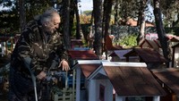 Sang pemilik pemakaman, Luigi Molon (73) mengatakan ini semua dimulai dengan ayam Mussolini. Tidak punya tanah untuk menguburkannya, Mussolini membawa ayam-ayamnya ke sini, di mana putranya akan datang dengan bunga untuk mengenang saat-saat bahagia mereka bersama.  
