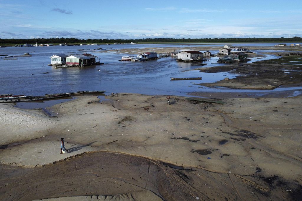 Kondisi kekeringan di kawasan sekitar sungai Amazon.
