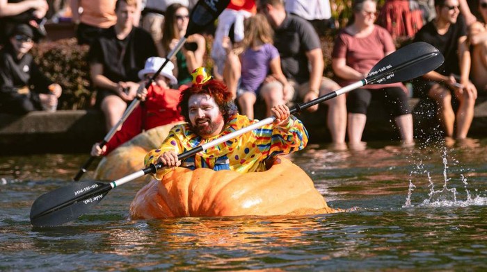 Kocak, Begini Serunya Lomba Mendayung Labu Raksasa di AS Racers in giant pumpkin boats gather at the start line during the West Coast Giant Pumpkin Regatta in Tualatin, Oregon, on October 16, 2022. - Since 2004, costumed characters in giant pumpkins compete in a series of races in Tualatin Lake. (Photo by Wesley LAPOINTE / AFP) (Photo by WESLEY LAPOINTE/AFP via Getty Images)
