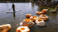 Anggota klub Petani Sayuran Raksasa Pasifik melubangi labu untuk dijadikan kano di Danau Tualatin, Oregon, Amerika Serikat.