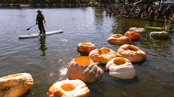 Racers in giant pumpkin boats gather at the start line during the West Coast Giant Pumpkin Regatta in Tualatin, Oregon, on October 16, 2022. - Since 2004, costumed characters in giant pumpkins compete in a series of races in Tualatin Lake. (Photo by Wesley LAPOINTE / AFP) (Photo by WESLEY LAPOINTE/AFP via Getty Images)