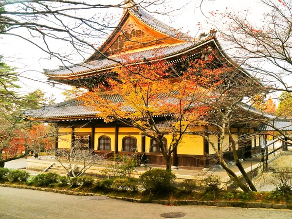 Pria yang tidak disebutkan namanya, yang bekerja di Pelestarian Warisan Kyoto menelepon polisi segera setelah kecelakaan itu. Ia memberi tahu mereka bahwa dia telah menabrak kuil (Foto: iStock) Pria yang tidak disebutkan namanya, yang bekerja di Pelestarian Warisan Kyoto menelepon polisi segera setelah kecelakaan itu. Ia memberi tahu mereka bahwa dia telah menabrak kuil (Foto: iStock)