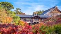 Suasana di sekitar Kuil Tofukuji yang terlihat begitu adem dan sejuk (Foto: iStock)