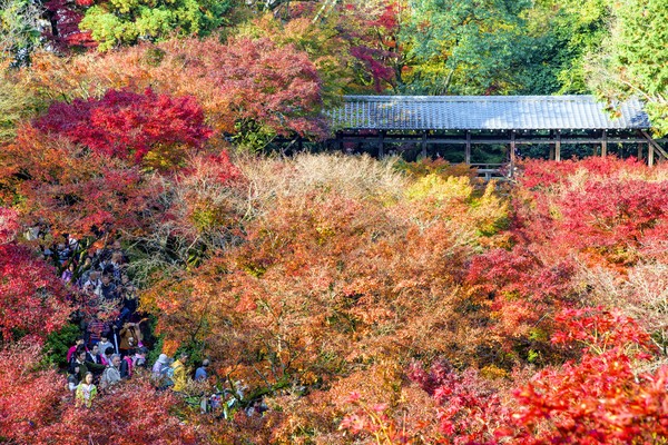 Kejadian itu berlangsung di sebuah kuil Buddha yang tentunya sudah berusia berabad-abad. Adalah toilet komunal di Tofukuji di Kyoto, bangunan berasal dari abad ke-15 dan ditetapkan sebagai aset budaya yang penting (Foto: iStock) Kejadian itu berlangsung di sebuah kuil Buddha yang tentunya sudah berusia berabad-abad. Adalah toilet komunal di Tofukuji di Kyoto, bangunan berasal dari abad ke-15 dan ditetapkan sebagai aset budaya yang penting (Foto: iStock)