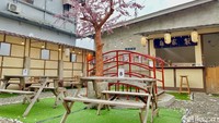 Terdapat area outdoor MissBar yang nuansa Jepang nya sangat kental. Berada di lantai dua, mata kami langsung disambut dengan pagar ala Jepang, lampion, serta hiasan pohon bunga sakura di bagian tengahnya. Foto: detikFood