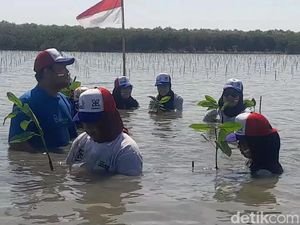 Pesisir Pantura Diprediksi Hilang 2030, Abrasi Kini Gerus 2 Ribu Ha di Brebes