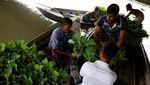 Begini Cara Bangladesh Siasati Ketahanan Pangan