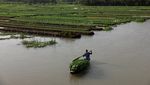 Begini Cara Bangladesh Siasati Ketahanan Pangan
