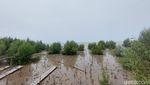 Miris Banget! Serang Dulu Punya Pantai Pasir Putih, Kini Tanah Berlumpur