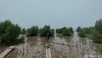 Tahun indah itu berubah tatkala adanya penutupan pelabuhan-pelabuhan di Jakarta sekitar tahun 1995. Kemudian dimulai juga pembangunan kawasan industri di daerah Bojonegara hingga Puloampel. Perubahan-perubahan pun terlilhat saat dimulai dibangunnya sandaran kapal atau jeti. Akibatnya, arus ombak yang biasanya normal sekarang berubah menjadi deras. Ditambah lagi dengan adanya pembangunan untuk PIK dan perizinan untuk tambak pasir pantai. Pasir-pasir yang terus disedot sehingga abrasi tidak terelakan lagi di wilayah pesisir.