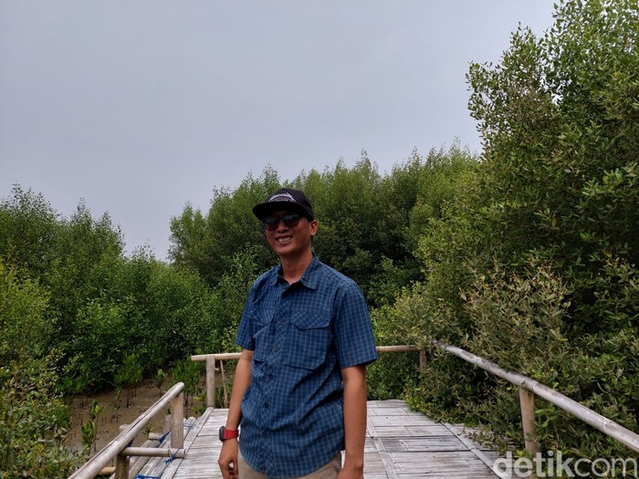 Pesisir yang ditanami mangrove di Karangantu Pesisir yang ditanami mangrove di Karangantu, Banten