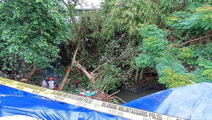 pohon besar ambruk ke sungai dipotong