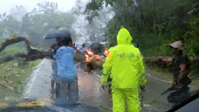 Penanganan pohon tumbang di Dusun Planjen Desa Bumiharjo Kecamatan Ngutoronadi Jumat (21/10/2022).